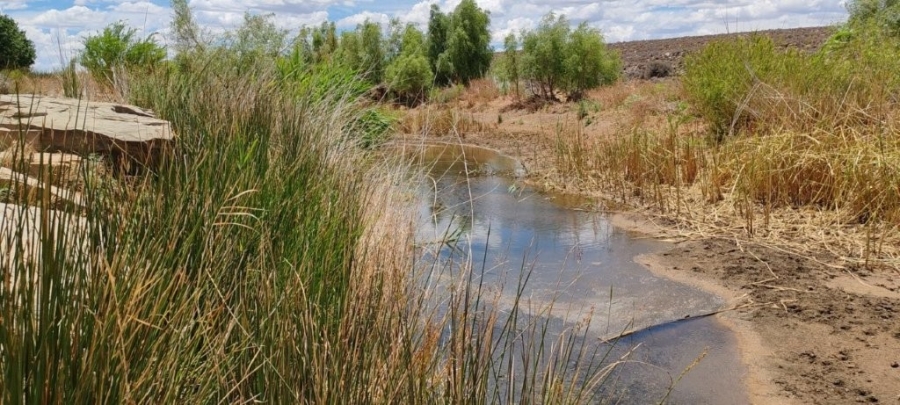 3 Bedroom Property for Sale in Sutherland Northern Cape